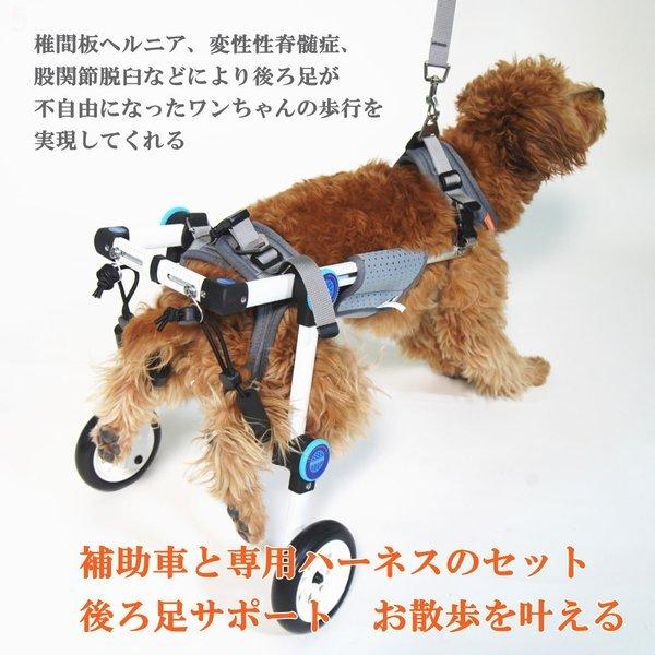 犬用 車椅子 後ろ足 2輪 XS幅広サイズ 小型犬 中型犬 ハーネスセット