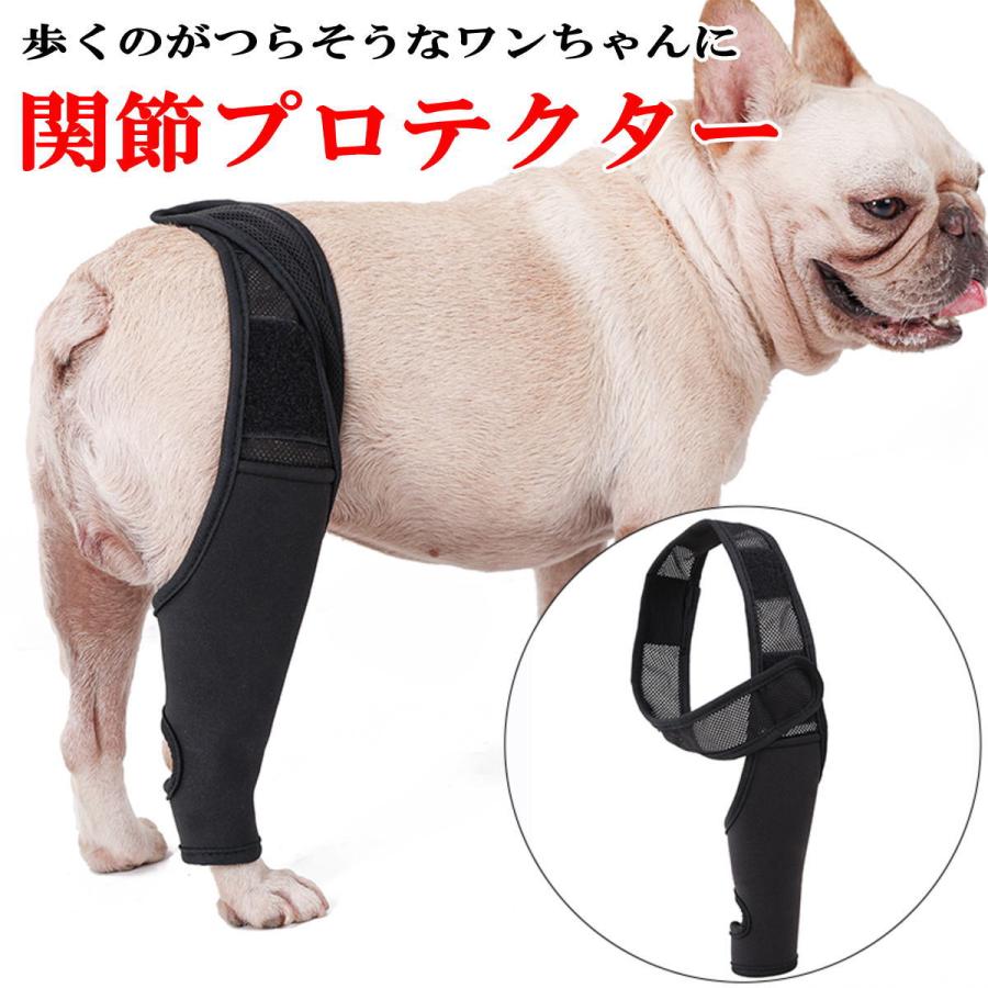 犬 サポーター 前足後足左右兼用 小型犬 中型犬 大型犬 関節サポーター