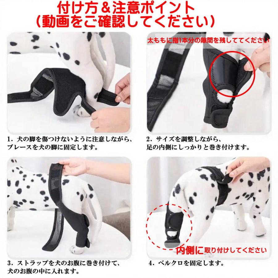 犬 サポーター 前足後足左右兼用 小型犬 中型犬 大型犬 関節サポーター