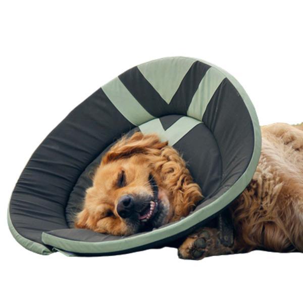 エリザベスカラー 大型犬 中型犬 ブリリアント型 幅広 型崩れない 脱ぎ