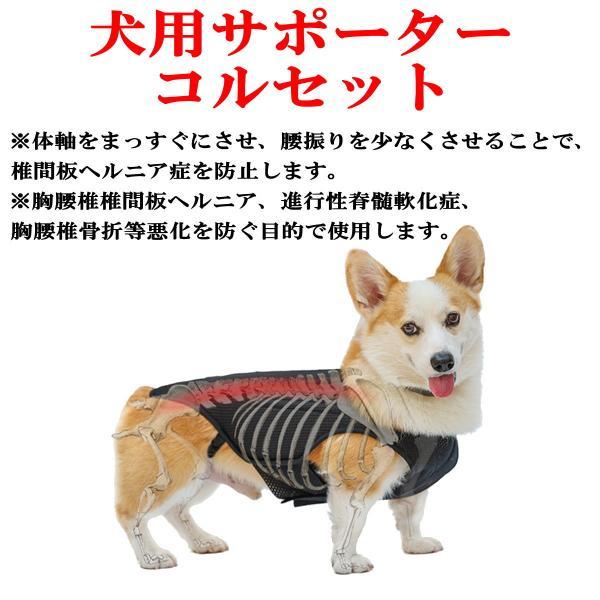 犬 サポーター 腰 コルセット 小型犬 中型犬 椎間板ヘルニア 介護