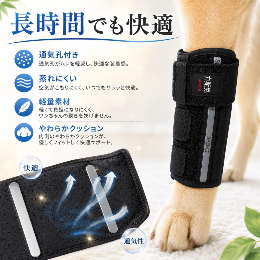 犬 サポーター 前足用 アルミステー内蔵 歩行補助 関節 固定 手首 足首