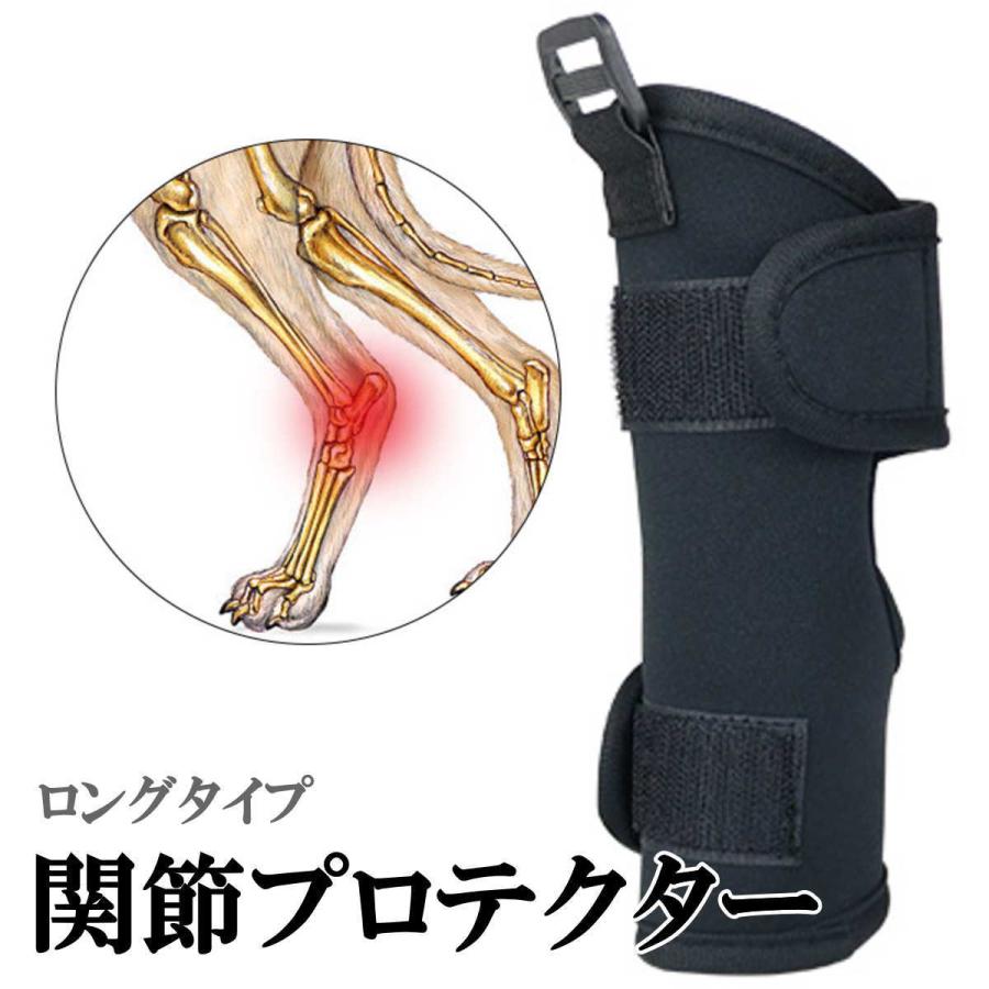 セール 犬 サポーター 左右セット ベルト付き 前足後足左右兼用 小型犬