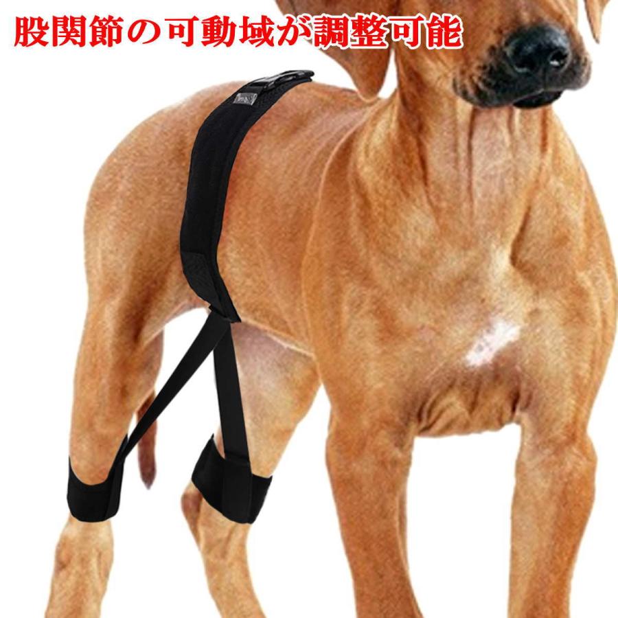 犬 サポーター 股関節 小型犬 中型犬 大型犬 股関節サポーター 関節