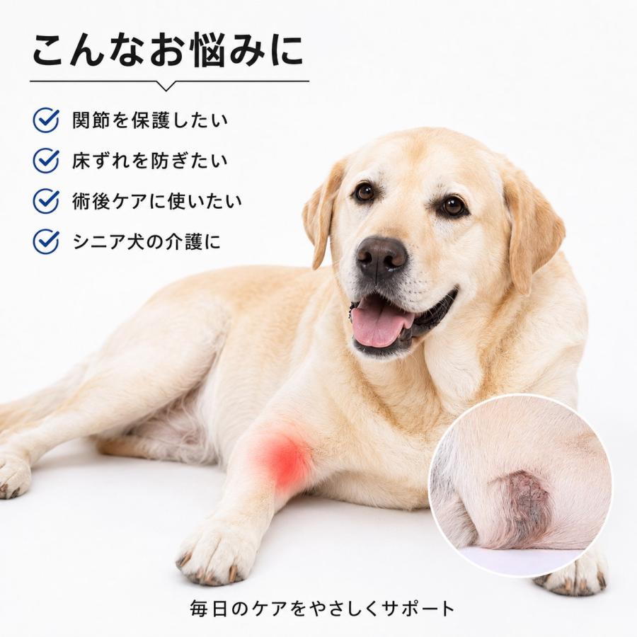 犬 サポーター 関節サポーター 前足 後ろ足 左右兼用 スプリング内蔵