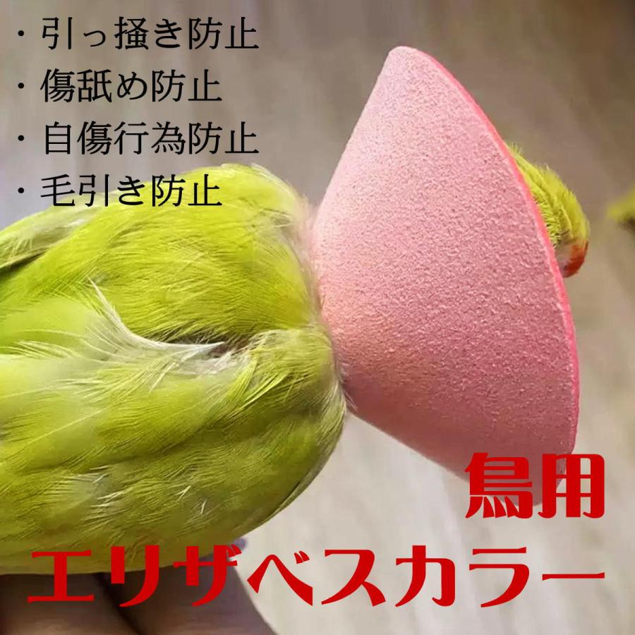 エリザベスカラー 鳥 ソフト バードネックカラー オウム セキセイ