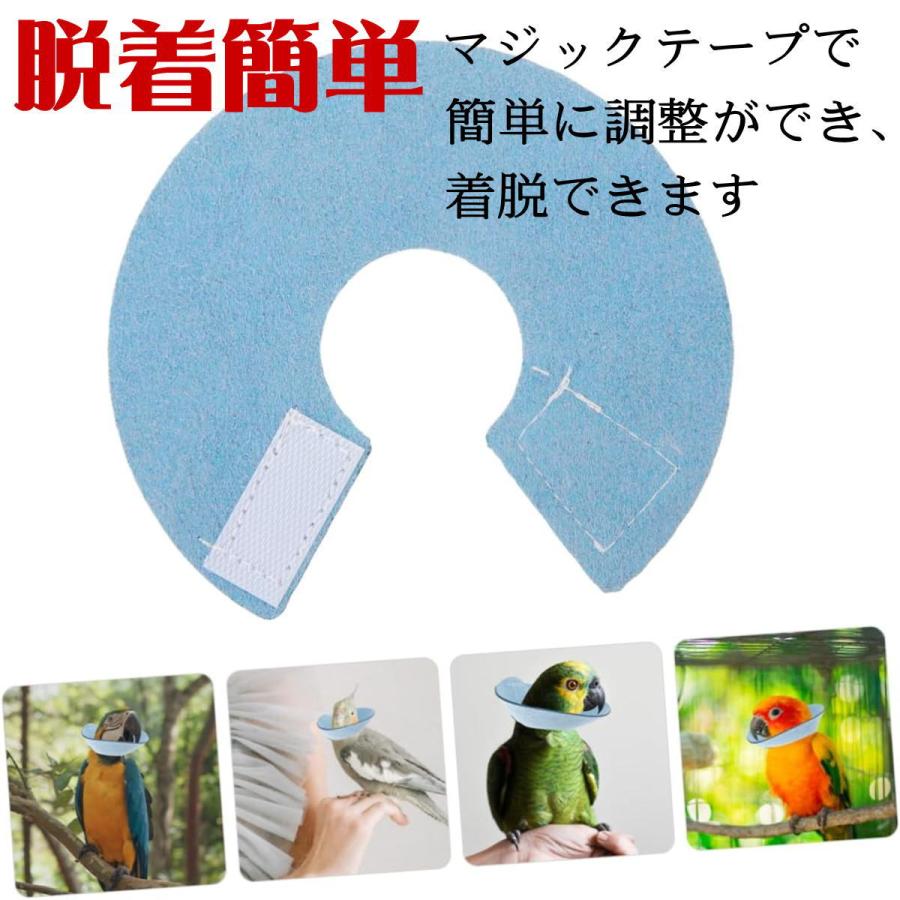 エリザベスカラー 鳥 ソフト バードネックカラー オウム セキセイ