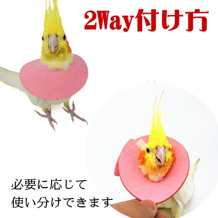 エリザベスカラー 鳥 ソフト バードネックカラー オウム セキセイ