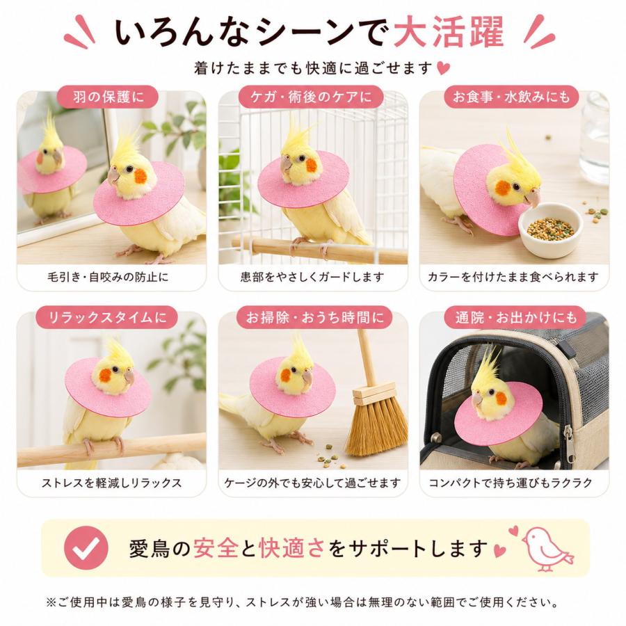 鳥用 エリザベスカラー ソフト 小鳥 インコ オウム ハト バードネック