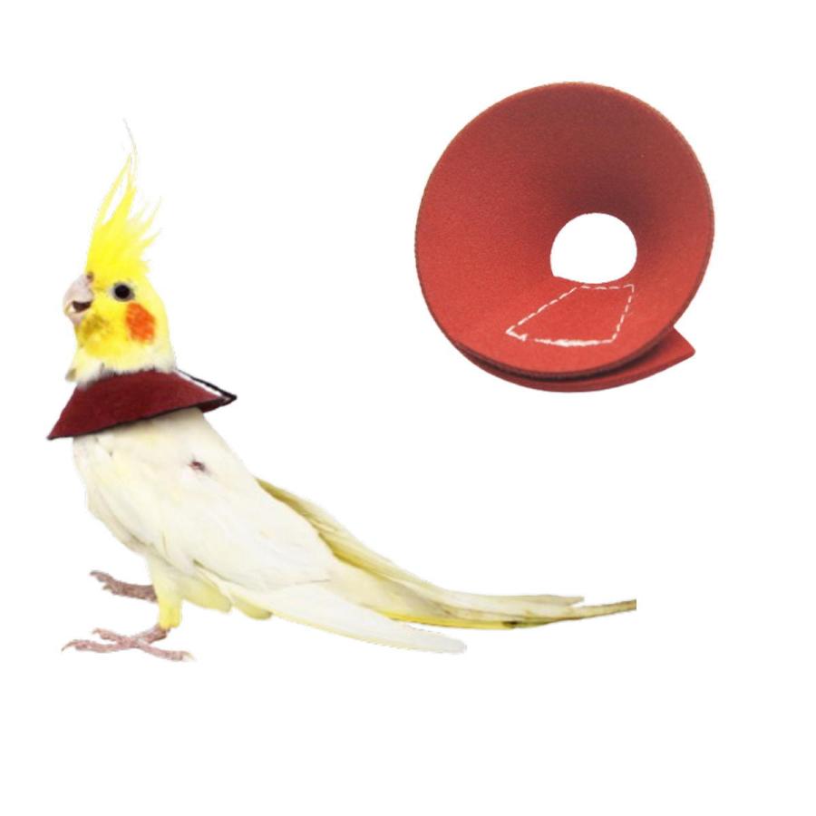 エリザベスカラー 鳥 ソフト バードネックカラー オウム セキセイ