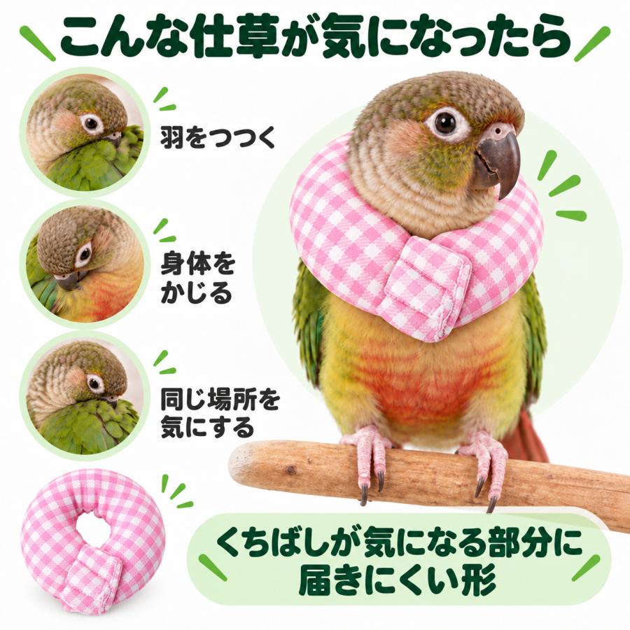 インコ エリザベスカラー 鳥用 小鳥 ソフト バードネックカラー 毛引き