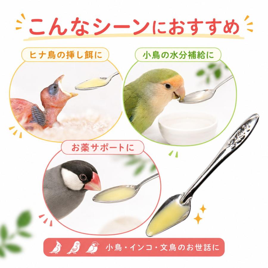 鳥 雛 挿し餌 スプーン ステンレス 小鳥 ひな 給餌器 インコ 文鳥 エサ