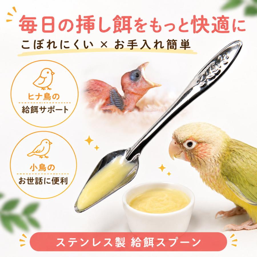 鳥 雛 挿し餌 スプーン ステンレス 小鳥 ひな 給餌器 インコ 文鳥 エサ