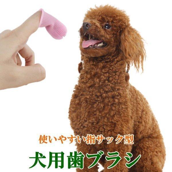 犬用歯ブラシ 猫 歯磨き 指サック 360度 指歯ブラシ 360°指ブラシ ケア