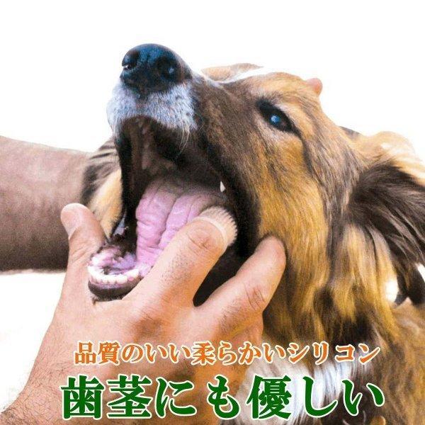 犬用歯ブラシ 猫 歯磨き 指サック 360度 指歯ブラシ 360°指ブラシ ケア
