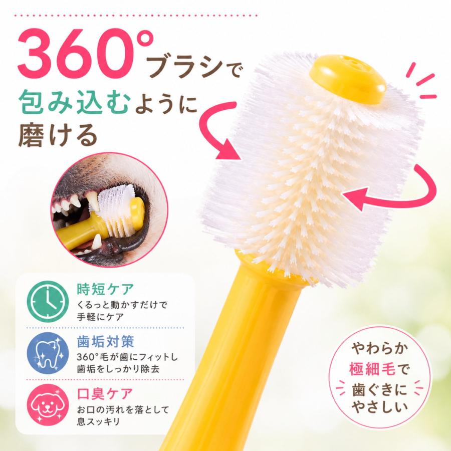 犬 歯ブラシ 360度 三角ヘッド 2本セット ペット 歯磨き 猫 小型犬