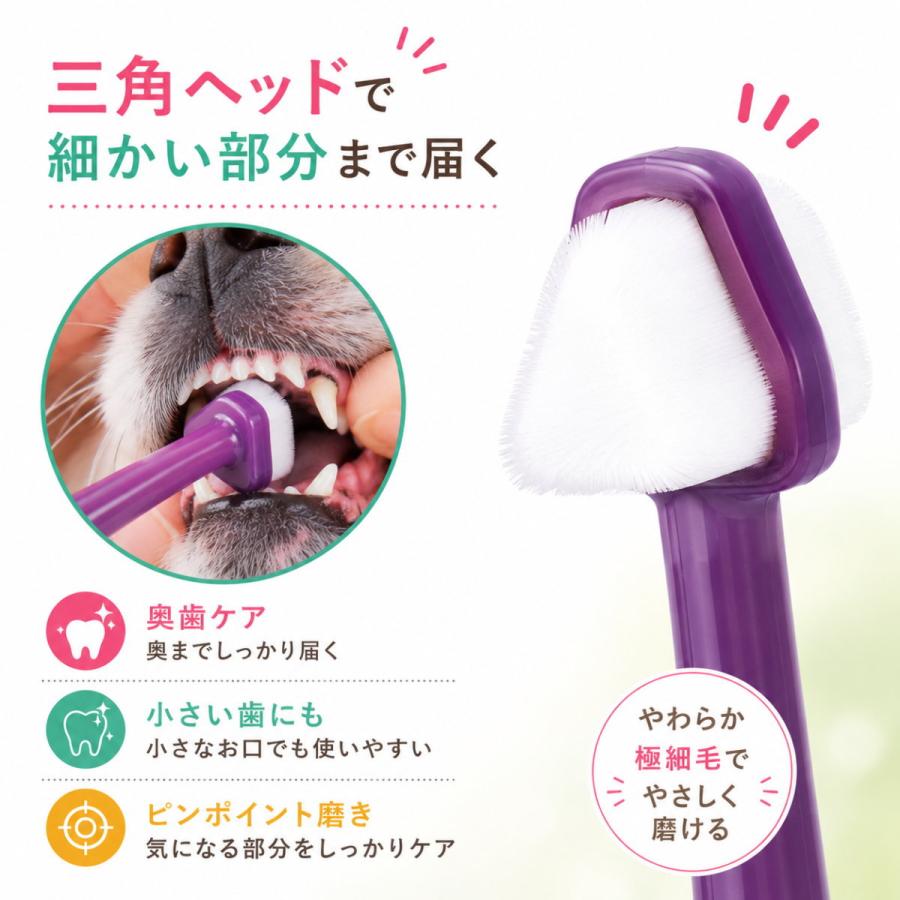 犬 歯ブラシ 360度 三角ヘッド 2本セット ペット 歯磨き 猫 小型犬