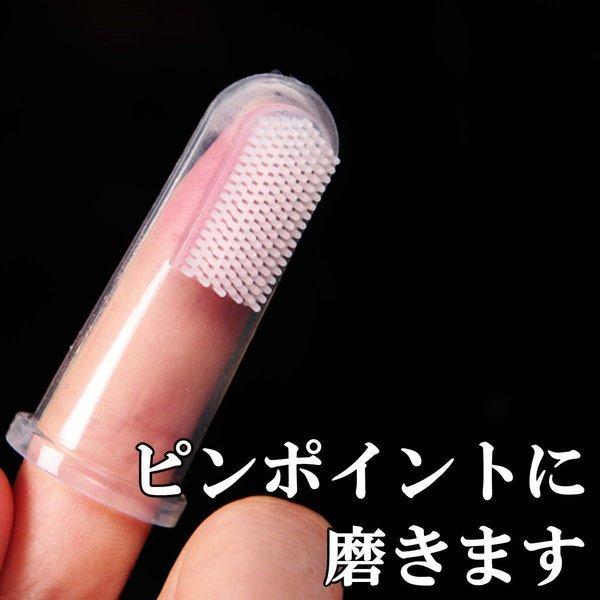 最高 光沢 徐々に 歯ブラシ 指 Edmalekorgonetherapy Com