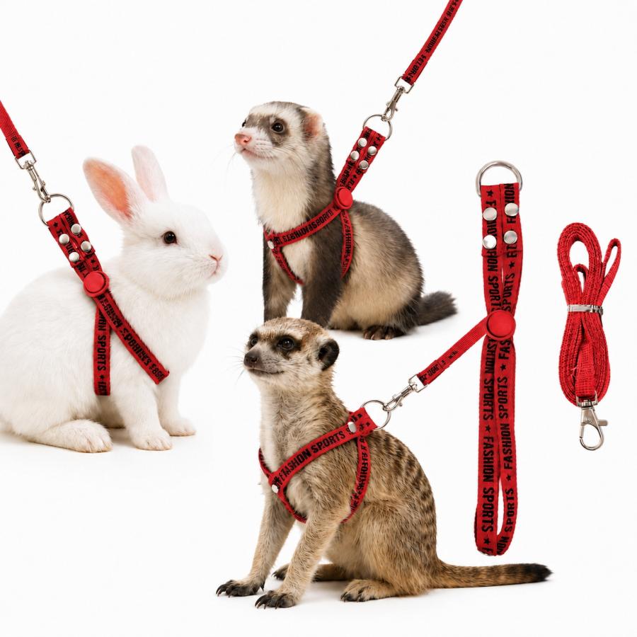 うさぎ ハーネス リード セット 小動物用 フェレット ミーアキャット