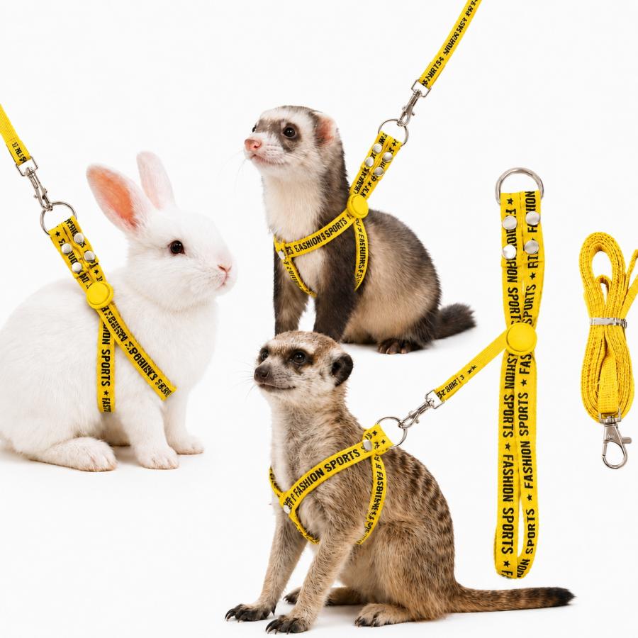 うさぎ ハーネス リード セット 小動物用 フェレット ミーアキャット
