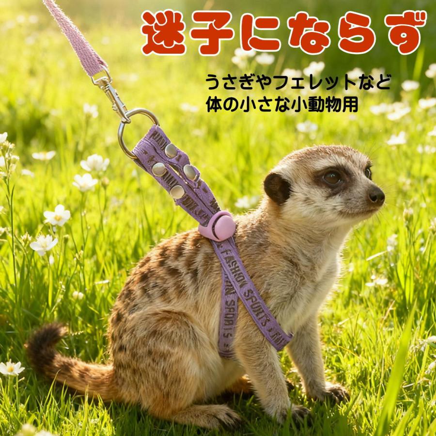 新商品 うさぎ ハーネスリードセット 小動物用 ソフト スモールペット