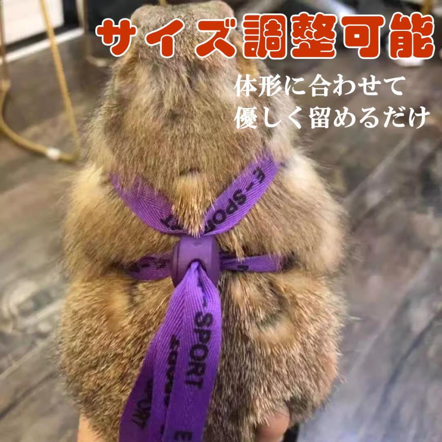 新商品 うさぎ ハーネスリードセット 小動物用 ソフト スモールペット