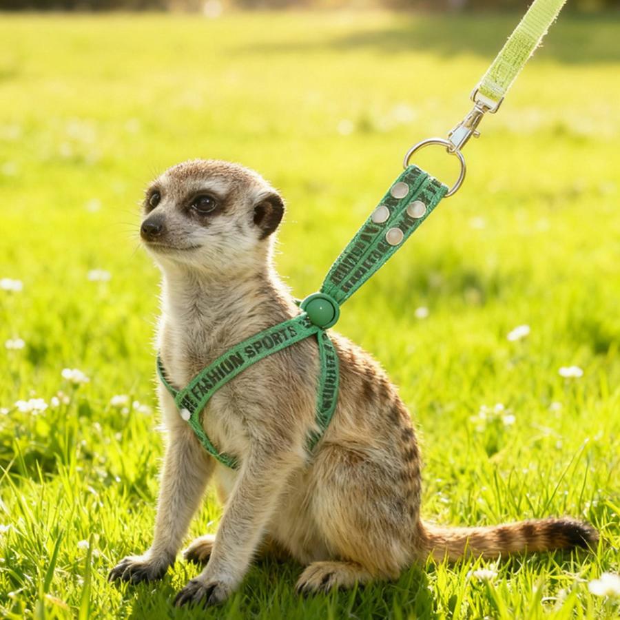 新商品 うさぎ ハーネスリードセット 小動物用 ソフト スモールペット