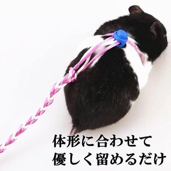 小動物用 ハーネスリードセット コットンロープ リード 牽引帯 調節