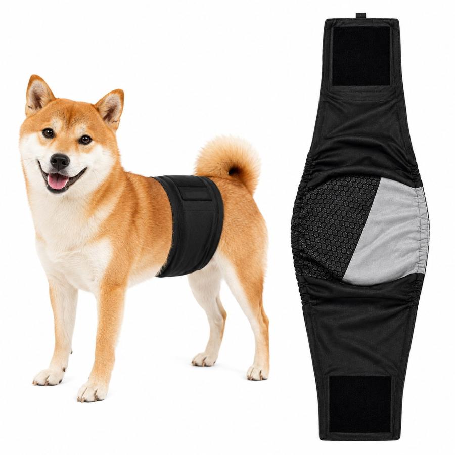 犬 マナーベルト オス グラフェン 抗菌 消臭 ずれない 小型犬 中型犬