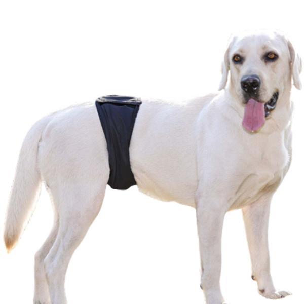 マナーベルト 犬 オス 抗菌 消臭 グラフェン ずれない 大型犬 中型犬