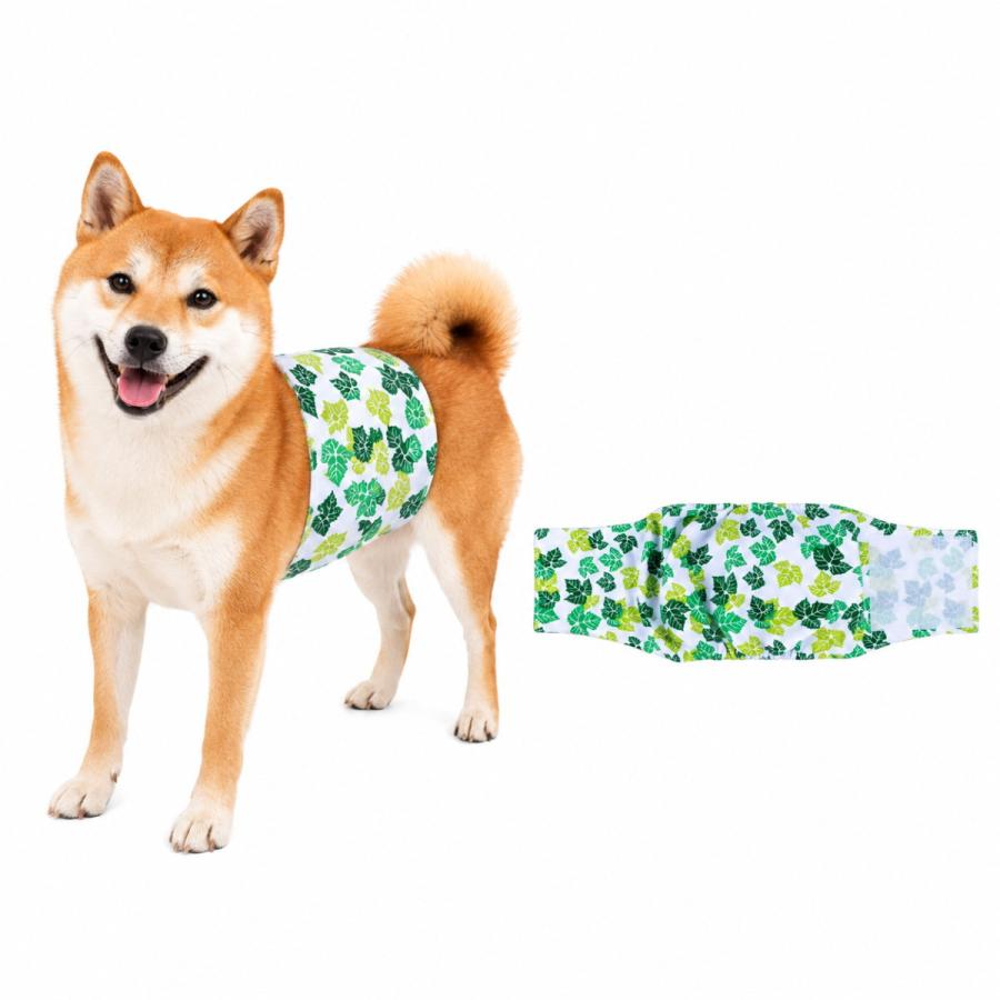 新商品 マナーベルト 犬 オス用 吸水パッド付き 裏メッシュ 表TPU 防水