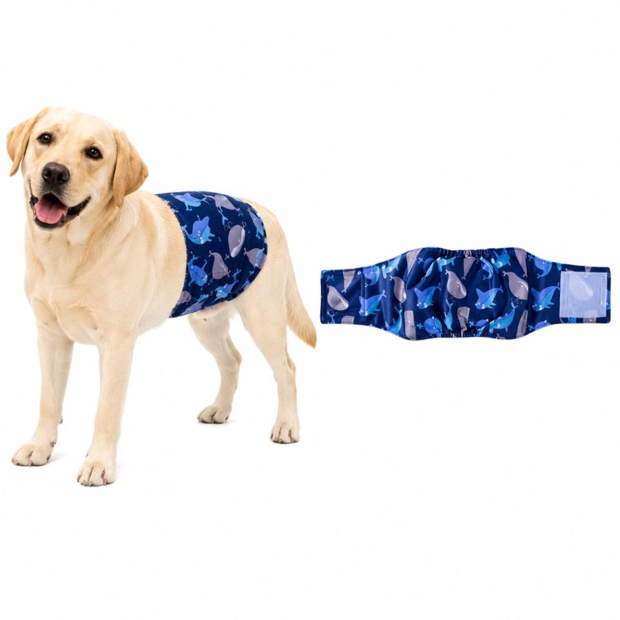 新商品 マナーベルト 犬 オス用 吸水パッド付き 裏メッシュ 表TPU 防水
