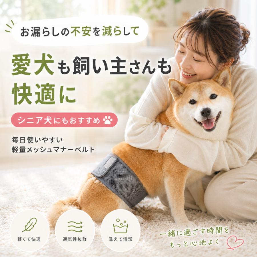 マナーベルト 犬 男の子 メッシュ 通気性抜群 夏用 マーキング防止 お