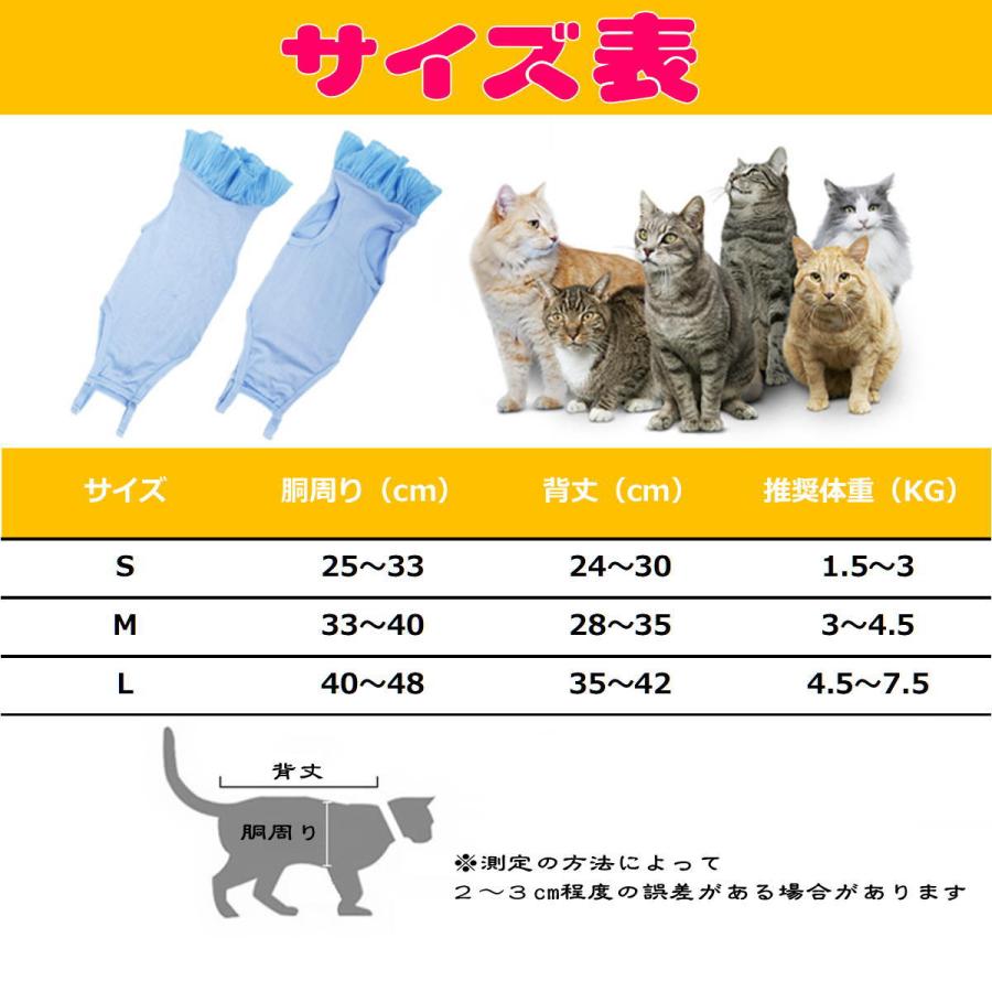 48 染付　のら猫様 瀬戸まねき猫 – – 中外陶園オンラインストア