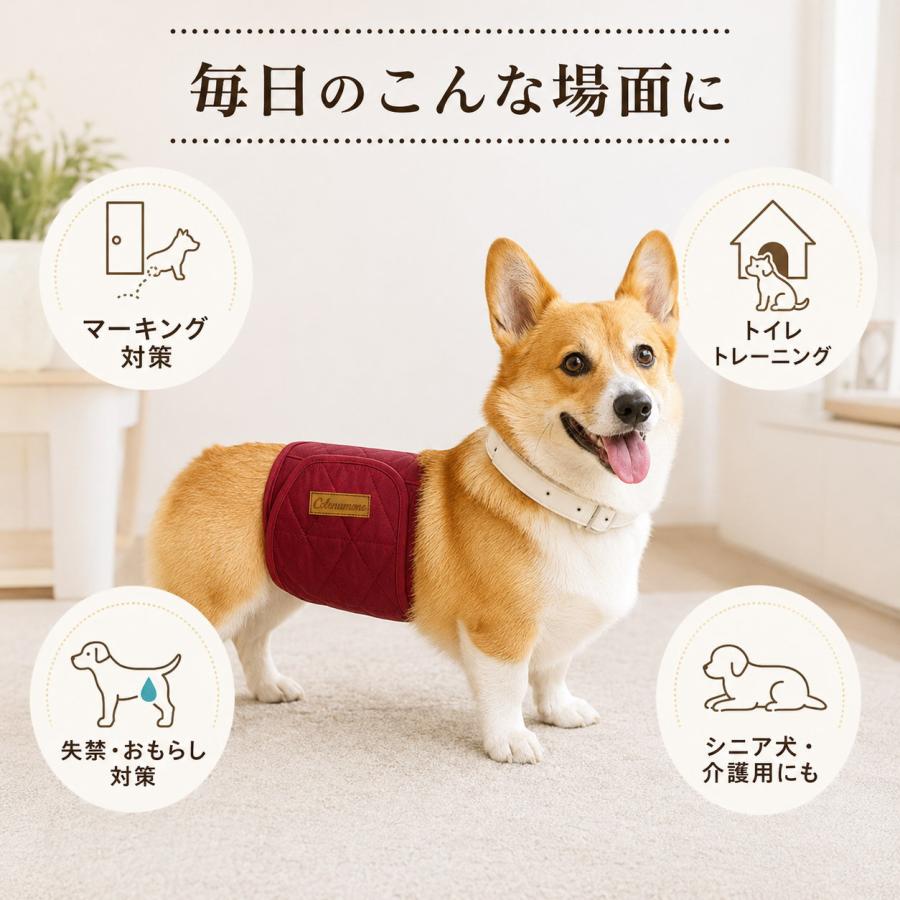 犬用 マナーベルト 男の子 オス マナーパンツ おむつカバー 4層吸収