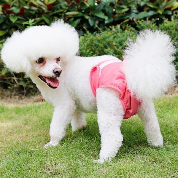 マナーパンツ 犬 メス おむつカバー 女の子 大型犬 中型犬 小型犬 吸水