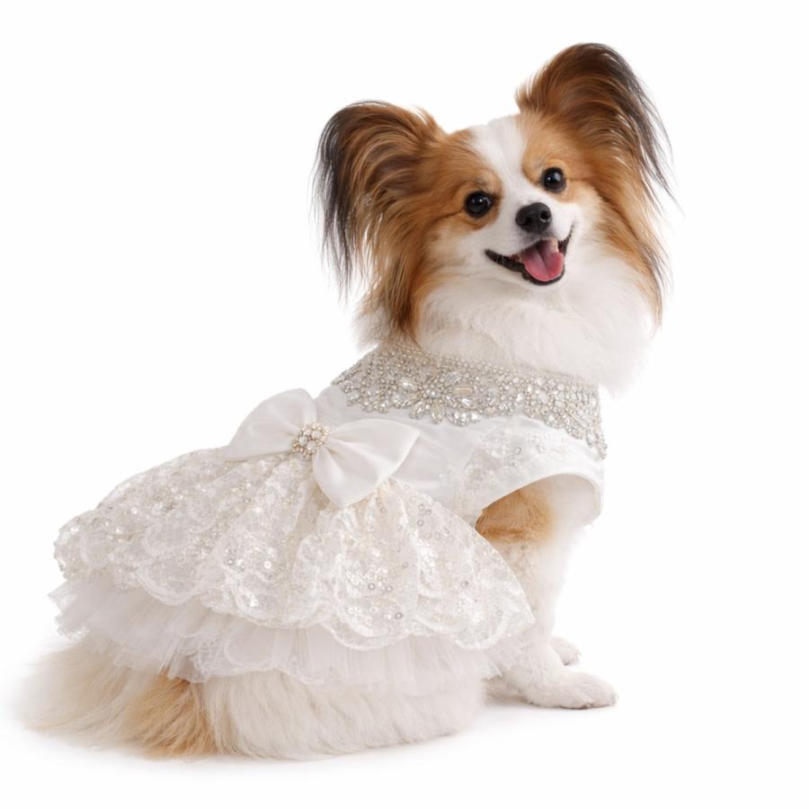 犬 ドレス 犬服 ワンピース 小型犬 中型犬 XS S M L XL キラキラ
