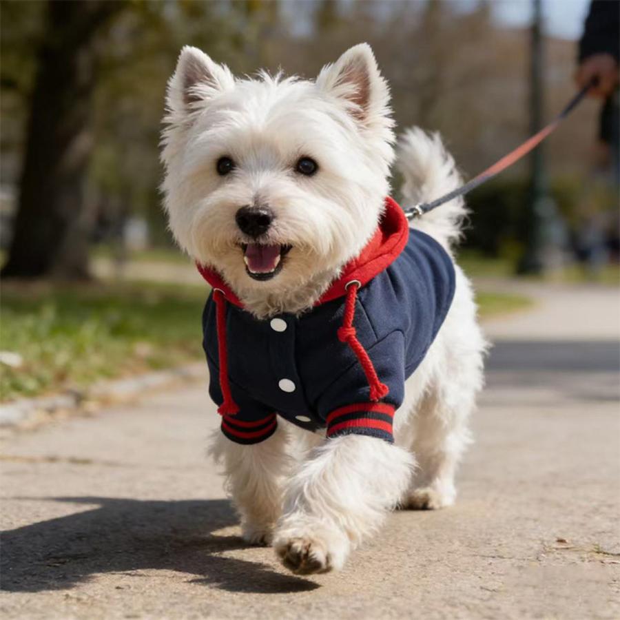 セール20％OFF 犬 服 パーカー フード付き 犬用ウェア 秋冬 裏起毛