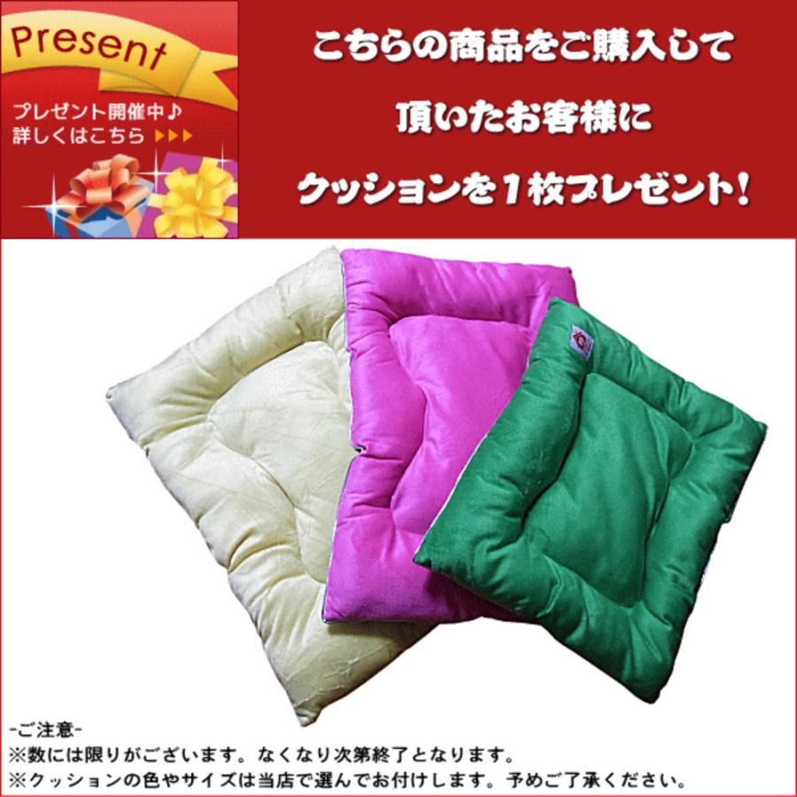 セール半額 ペットハウス木製 室内用 マット付き おしゃれ 箱型