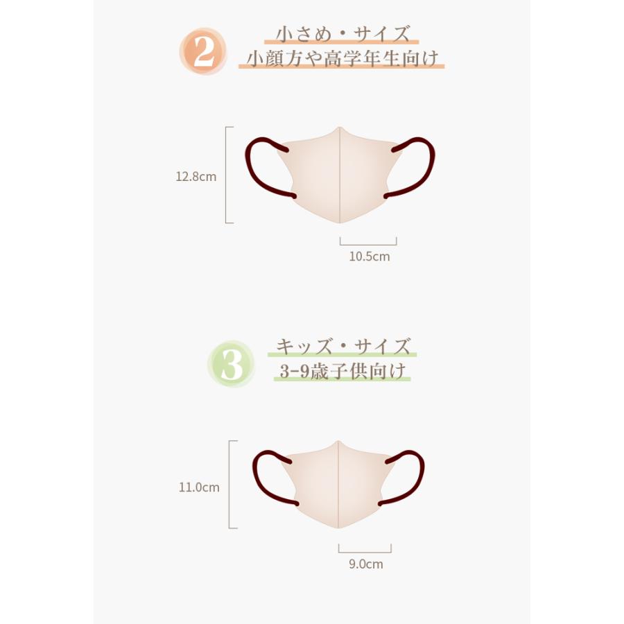 日本製マスク 3Dマスク 不織布 40枚 立体マスク バイカラーマスク