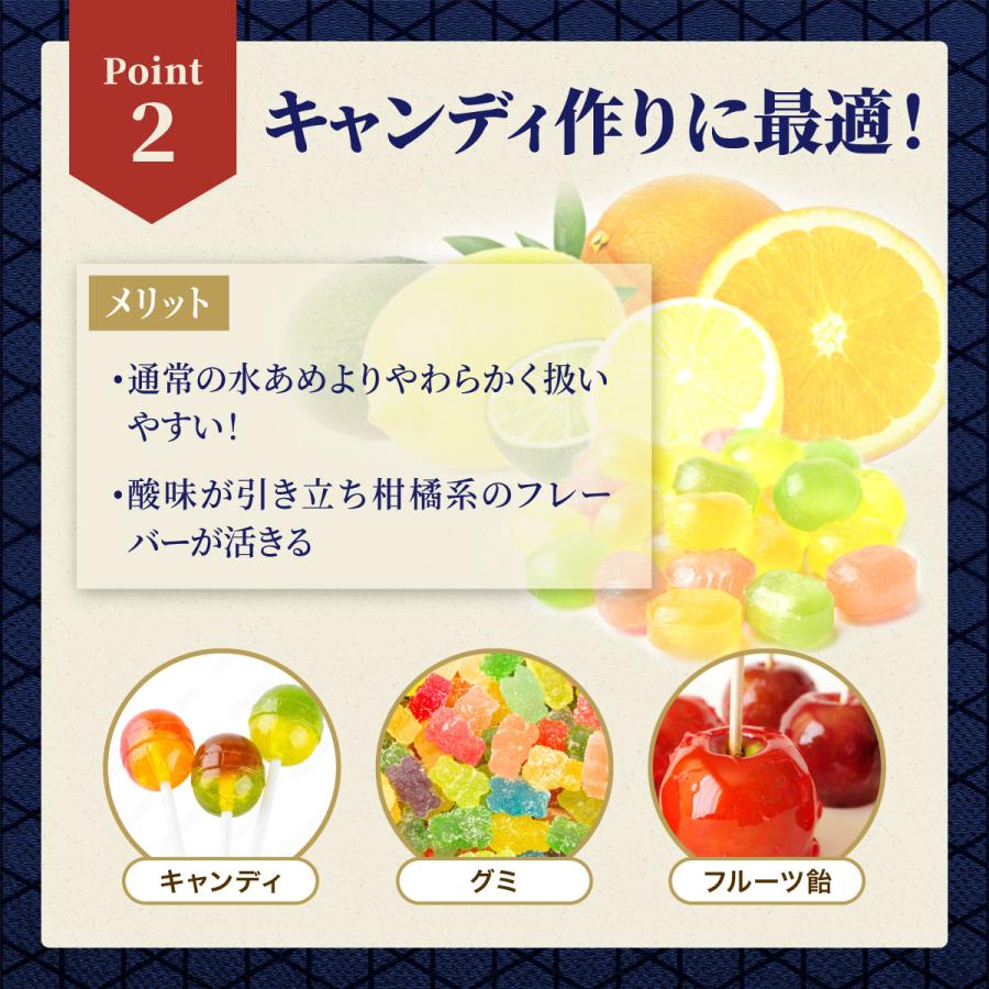 日本コーンスターチ 【2点で半額クーポン対象12/16まで！】業務用 水飴