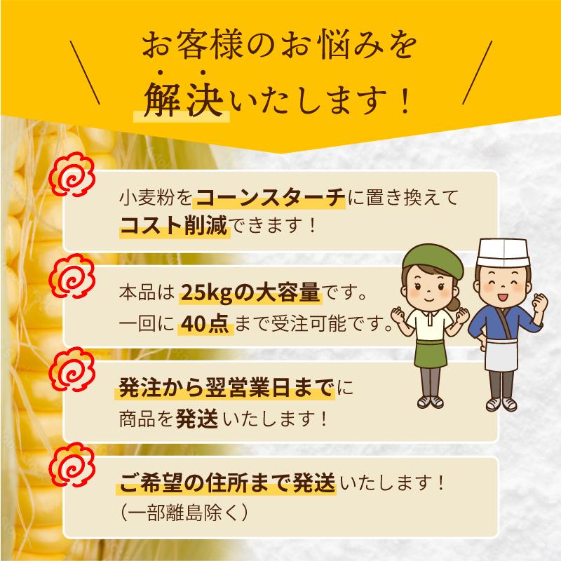 【10％OFFクーポン！1月5日まで】コーンスターチ 業務用 Y-4PN 25kg×1袋 玉米淀粉 大容量 グルテンフリー | 日本コーンスターチ | 03