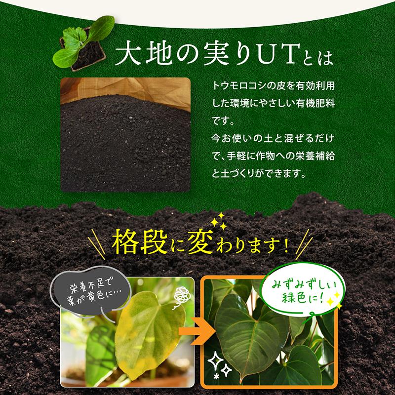 大地の実りUT 5kg 有機肥料 石灰配合 元肥 追肥 農業 プランター 野菜 園芸 土壌改良 有機質肥料 緩効性肥料 複合肥料 固形肥料 オーガニック｜nikkon｜03