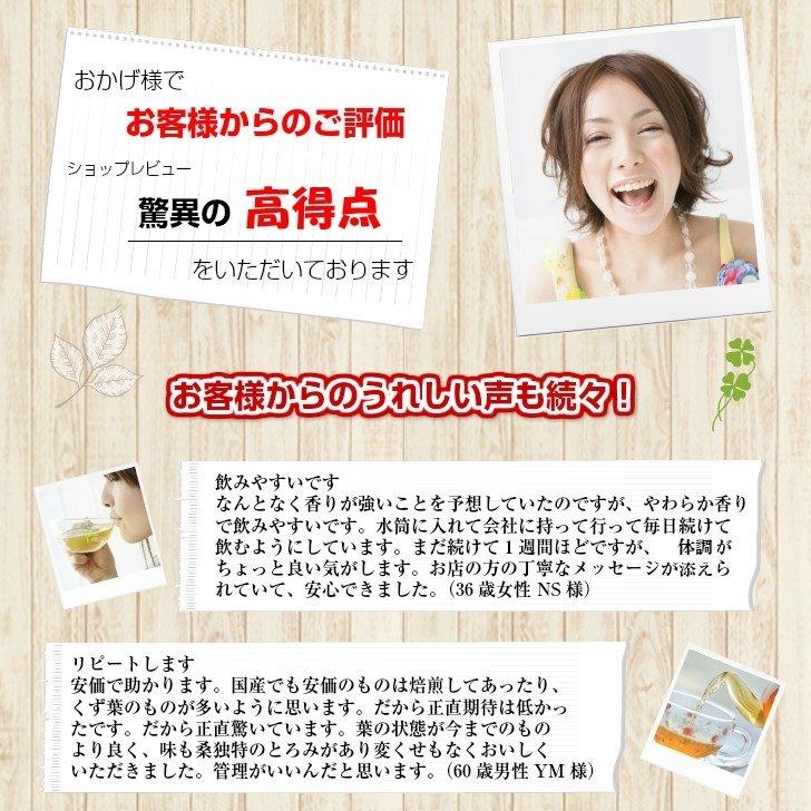 中国茶 烏龍茶 ジャスミン茶 100g入り［極上品］福建省産（チャック付