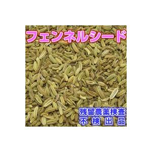 スパイス フェンネルシード 100g入り（チャック付新鮮真空パック）「有機原料使用」 自然食材 お茶 ハーブ 健康茶 香辛料｜nikkosabo｜03