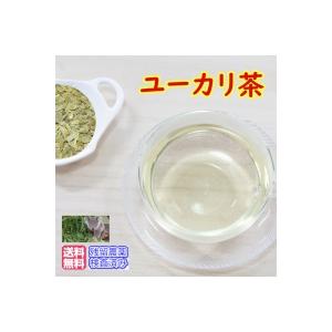 22秋冬新作 ハーブティー ユーカリ茶 チャック付新鮮真空パック100ｇ 残留農薬検査済み メール便送料無料 お茶 ユーカリ Wantannas Go Id