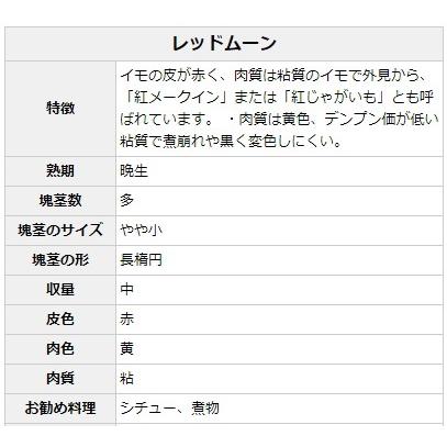 種じゃがいも レッドムーン 約500g入|nikkoseed2012|02