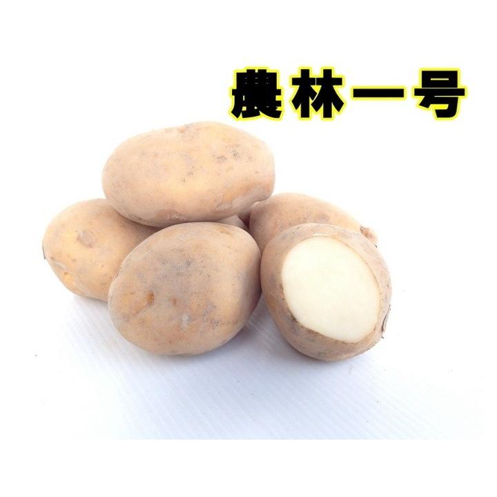 種ジャガイモ 種いも 農林一号 の種じゃがいも 約５００ｇ入 春ジャガイモ用１２月上旬 ２月下旬発送 秋ジャガイモ用７月下旬 ８月下旬発送 Bfja 日光種苗ヤフー店 通販 Yahoo ショッピング