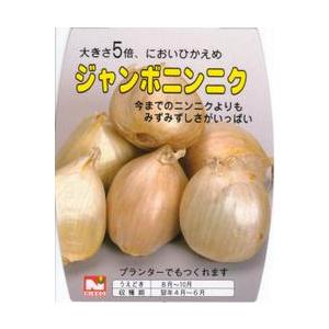 国産にんにく ジャンボニンニク 約５００ｇ入 割引価格