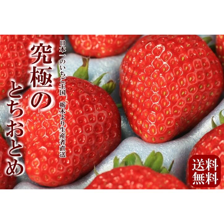 栃木のいちご　究極の【とちおとめ】　Ｌサイズ平詰め（60）【送料無料】｜nikkoseed2012｜02